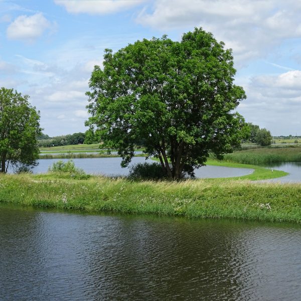 IJsselvallei (Engelse Werk)